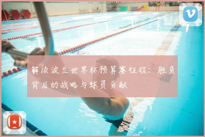 解读波兰世界杯预算赛征程：胜负背后的战略与球员贡献