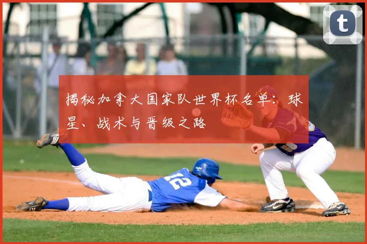 揭秘加拿大国家队世界杯名单：球星、战术与晋级之路