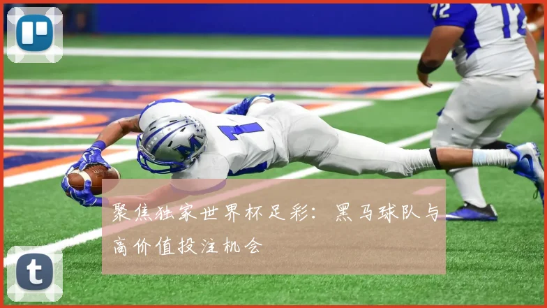 聚焦独家世界杯足彩：黑马球队与高价值投注机会