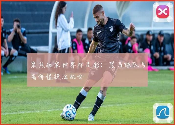 聚焦独家世界杯足彩：黑马球队与高价值投注机会