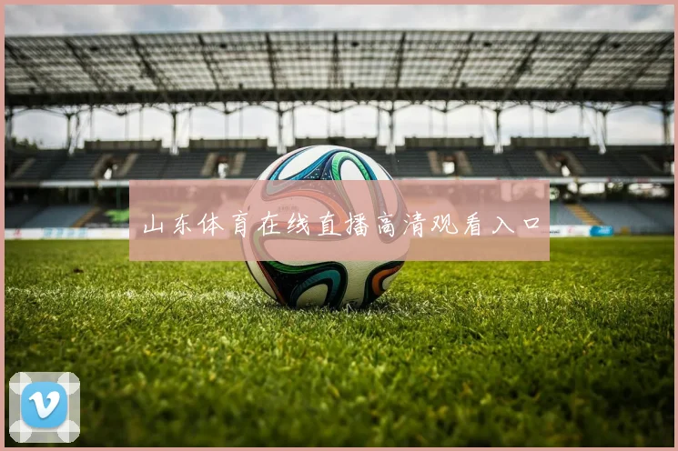 山东体育在线直播高清观看入口