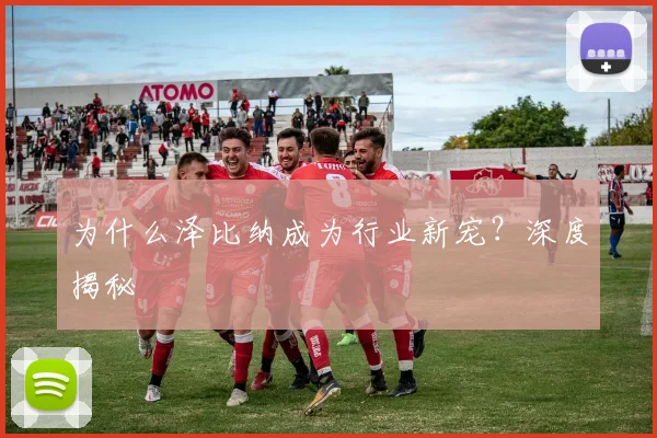 为什么泽比纳成为行业新宠？深度揭秘