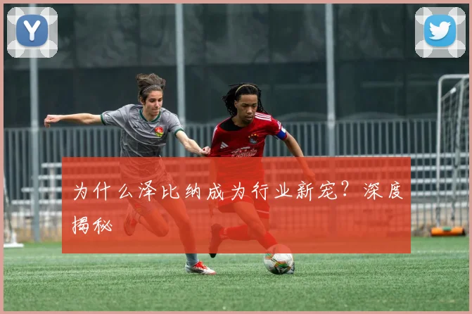 为什么泽比纳成为行业新宠？深度揭秘