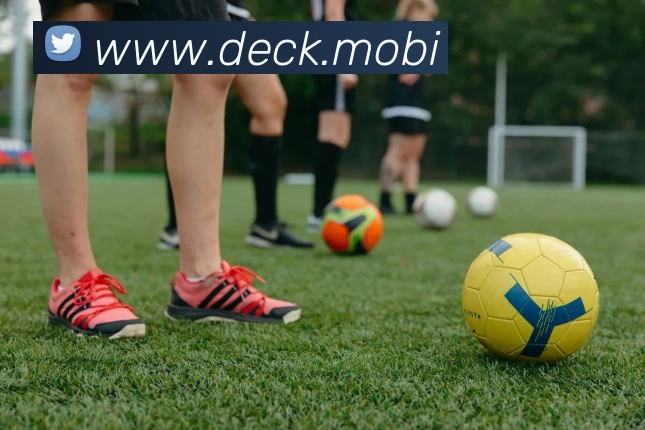 beat365唯一官网平台生态图